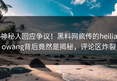 神秘人回应争议！黑料网疯传的heiliaowang背后竟然是揭秘，评论区炸裂
