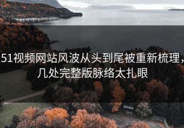 51视频网站风波从头到尾被重新梳理，几处完整版脉络太扎眼