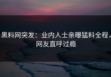 黑料网突发：业内人士亲曝猛料全程，网友直呼过瘾
