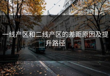 一线产区和二线产区的差距原因及提升路径