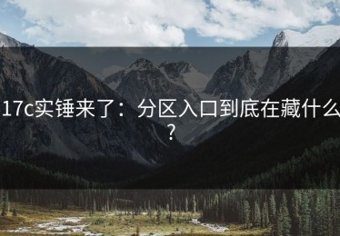 17c实锤来了：分区入口到底在藏什么?