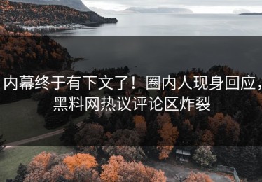 内幕终于有下文了！圈内人现身回应，黑料网热议评论区炸裂