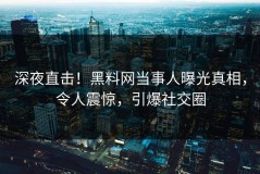 深夜直击！黑料网当事人曝光真相，令人震惊，引爆社交圈