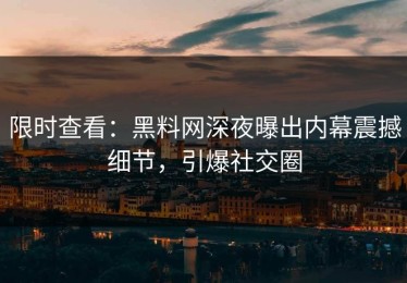 限时查看：黑料网深夜曝出内幕震撼细节，引爆社交圈