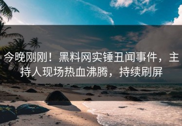 今晚刚刚！黑料网实锤丑闻事件，主持人现场热血沸腾，持续刷屏