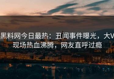 黑料网今日最热：丑闻事件曝光，大V现场热血沸腾，网友直呼过瘾