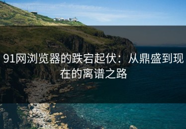 91网浏览器的跌宕起伏：从鼎盛到现在的离谱之路