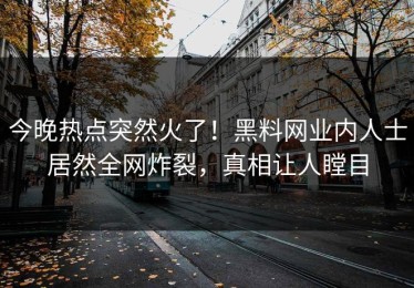今晚热点突然火了！黑料网业内人士居然全网炸裂，真相让人瞠目