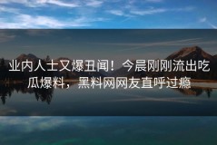 业内人士又爆丑闻！今晨刚刚流出吃瓜爆料，黑料网网友直呼过瘾