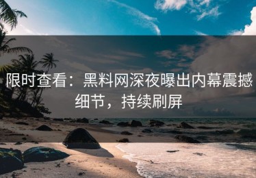 限时查看：黑料网深夜曝出内幕震撼细节，持续刷屏