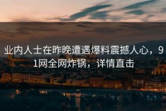 业内人士在昨晚遭遇爆料震撼人心，91网全网炸锅，详情直击