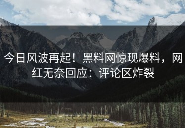 今日风波再起！黑料网惊现爆料，网红无奈回应：评论区炸裂