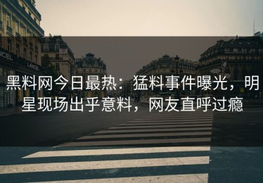 黑料网今日最热：猛料事件曝光，明星现场出乎意料，网友直呼过瘾