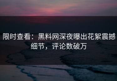 限时查看：黑料网深夜曝出花絮震撼细节，评论数破万
