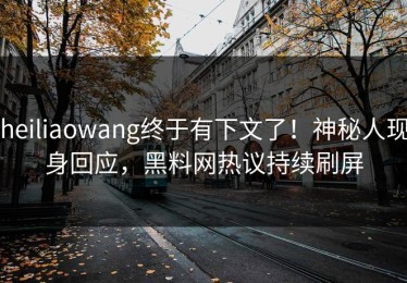 heiliaowang终于有下文了！神秘人现身回应，黑料网热议持续刷屏