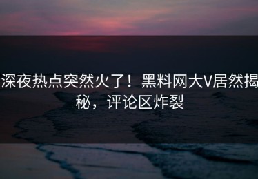 深夜热点突然火了！黑料网大V居然揭秘，评论区炸裂