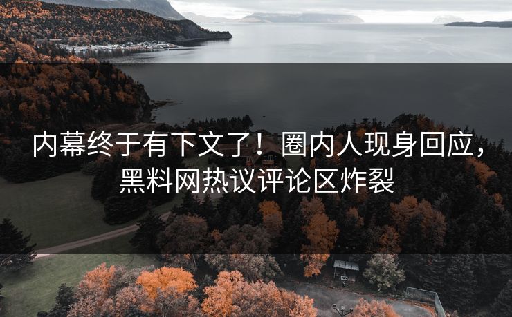 内幕终于有下文了！圈内人现身回应，黑料网热议评论区炸裂