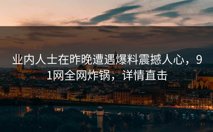 业内人士在昨晚遭遇爆料震撼人心，91网全网炸锅，详情直击