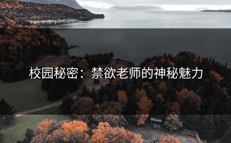 校园秘密：禁欲老师的神秘魅力