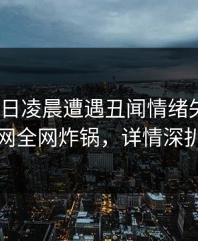 大V在今日凌晨遭遇丑闻情绪失控，91网全网炸锅，详情深扒
