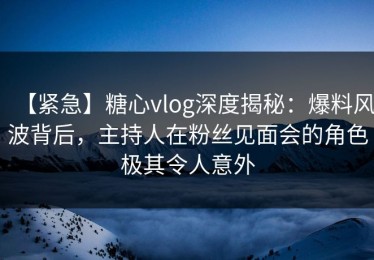 【紧急】糖心vlog深度揭秘：爆料风波背后，主持人在粉丝见面会的角色极其令人意外