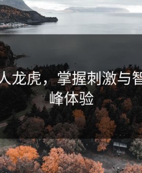 网上真人龙虎，掌握刺激与智慧的巅峰体验