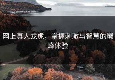 网上真人龙虎，掌握刺激与智慧的巅峰体验