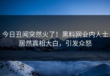 今日丑闻突然火了！黑料网业内人士居然真相大白，引发众怒