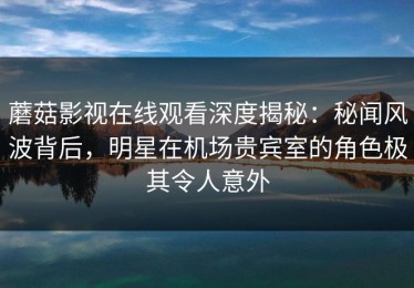 蘑菇影视在线观看深度揭秘：秘闻风波背后，明星在机场贵宾室的角色极其令人意外
