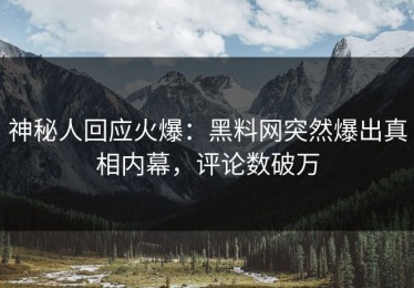 神秘人回应火爆：黑料网突然爆出真相内幕，评论数破万