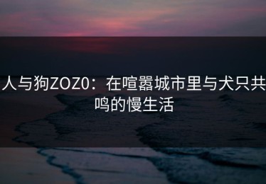 人与狗ZOZ0：在喧嚣城市里与犬只共鸣的慢生活