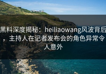 黑料深度揭秘：heiliaowang风波背后，主持人在记者发布会的角色异常令人意外
