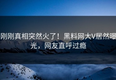 刚刚真相突然火了！黑料网大V居然曝光，网友直呼过瘾