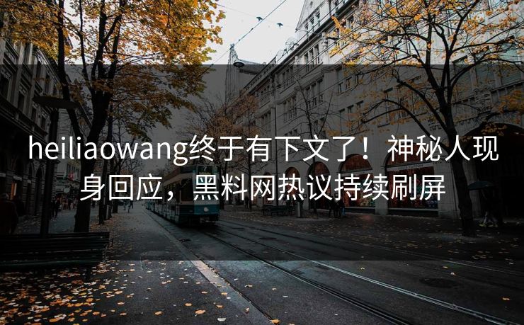 heiliaowang终于有下文了！神秘人现身回应，黑料网热议持续刷屏