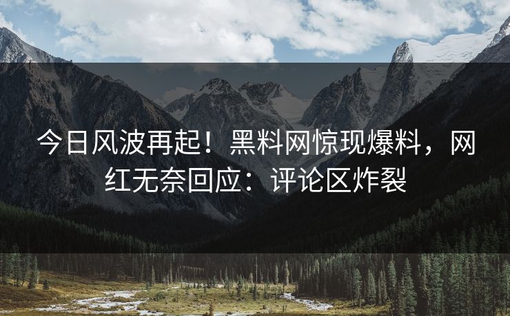 今日风波再起！黑料网惊现爆料，网红无奈回应：评论区炸裂